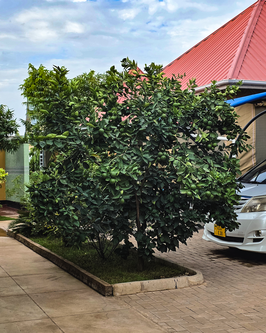 Kigongoni Gazella Hotel