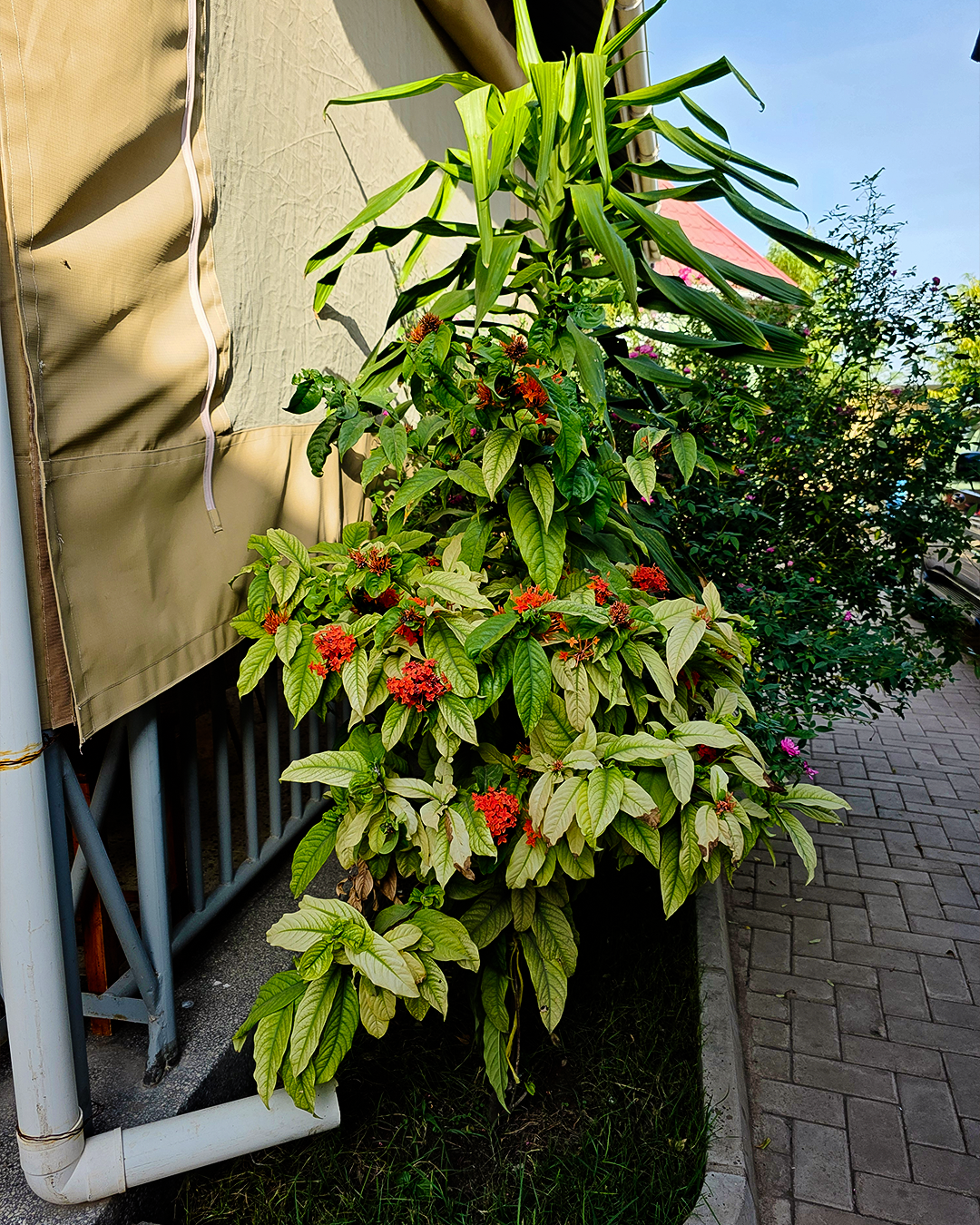 Kigongoni Gazella Hotel